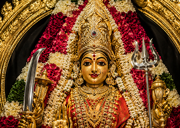 Bhagavathi Seva for Devi